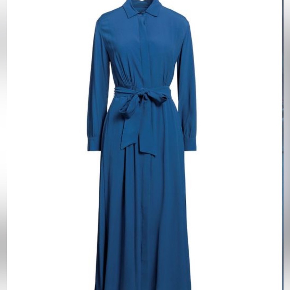 Max Mara Blue Shirt Dress : US:2